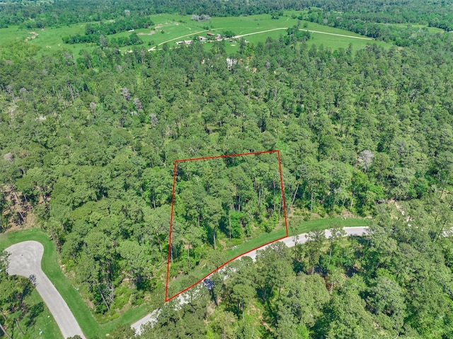 4552 Lily Bean Rd, Montgomery, TX 77316