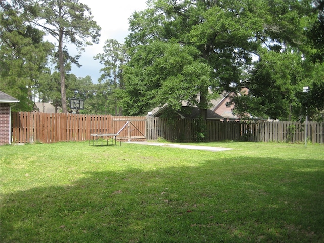 view of yard