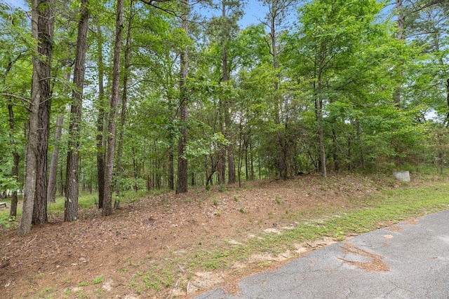 79 S Fairway Loop, Coldspring TX, 77331 land for sale