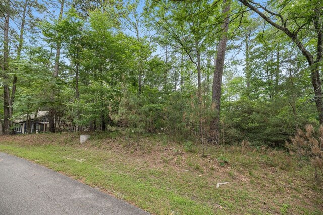 75 S Fairway Loop, Coldspring TX, 77331 land for sale