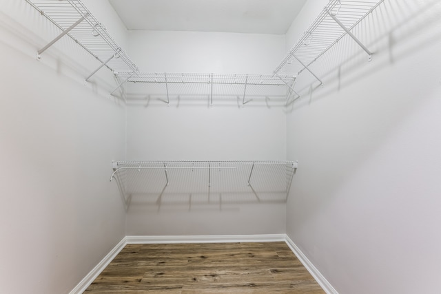 walk in closet with hardwood / wood-style flooring