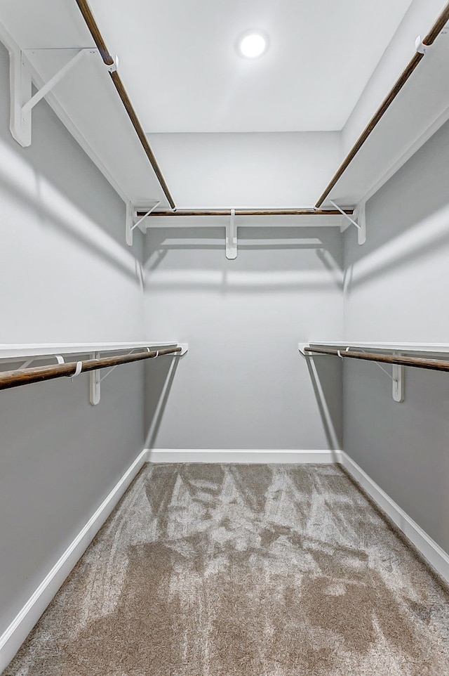 spacious closet with carpet