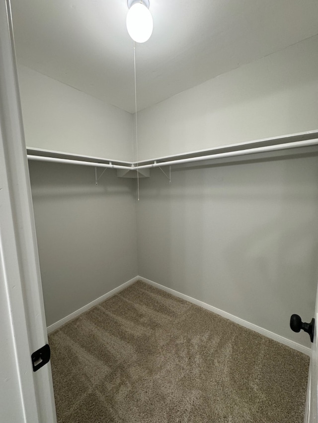 walk in closet featuring dark colored carpet