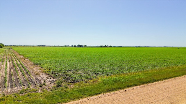 LOT7 County Road 326, Louise, TX 77455 - photo 6