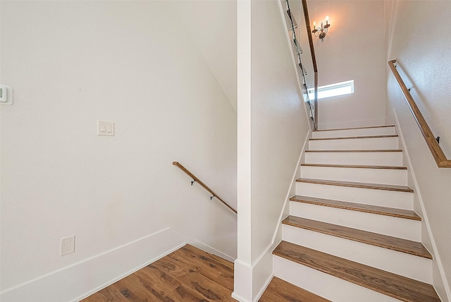 staircase with hardwood / wood-style flooring