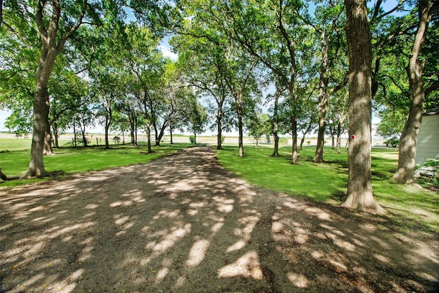 view of property's community featuring a lawn