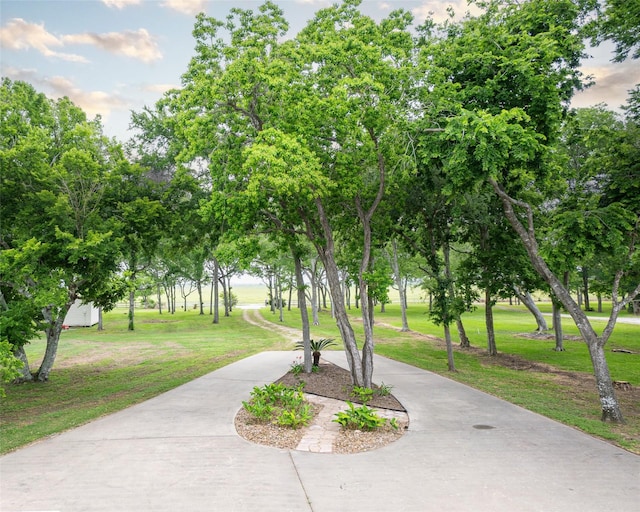 surrounding community featuring a yard