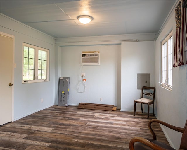 unfurnished room with ornamental molding, dark wood-type flooring, electric panel, and a wall mounted AC