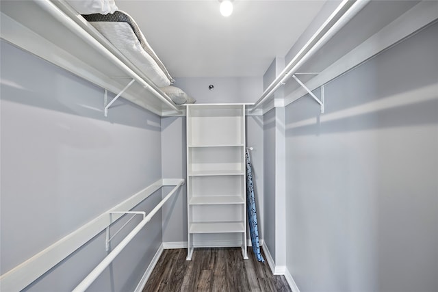 spacious closet with dark wood-type flooring