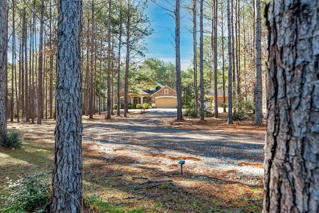 view of yard featuring a garage