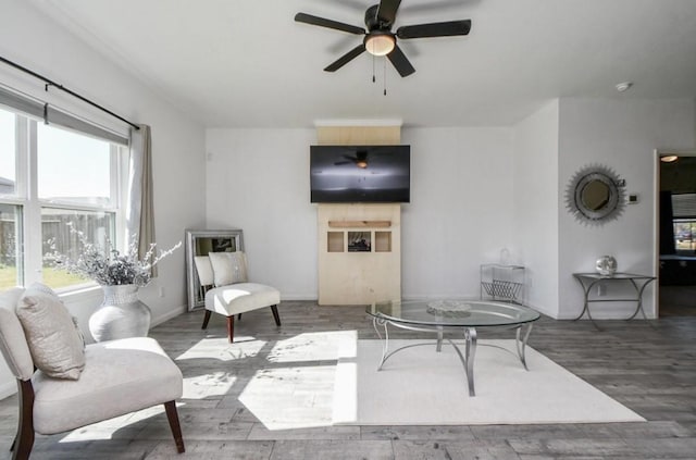 living room with hardwood / wood-style floors and ceiling fan