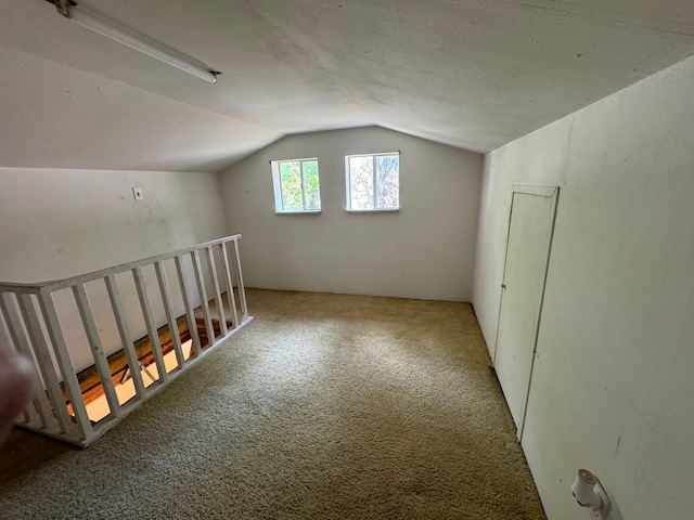 additional living space with lofted ceiling, carpet, and a textured ceiling