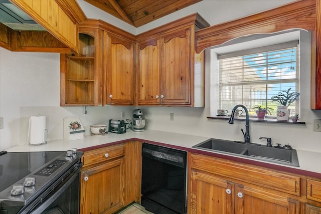 kitchen with sink, vaulted ceiling, and dishwasher