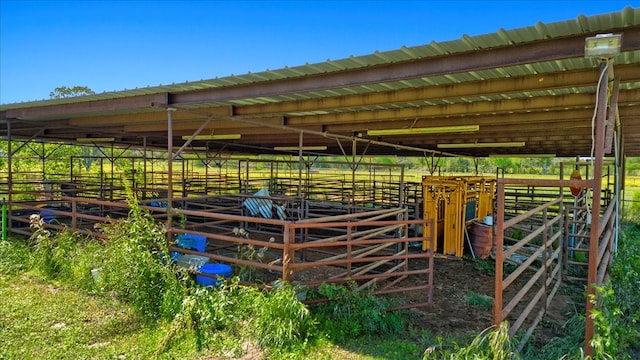 view of horse barn