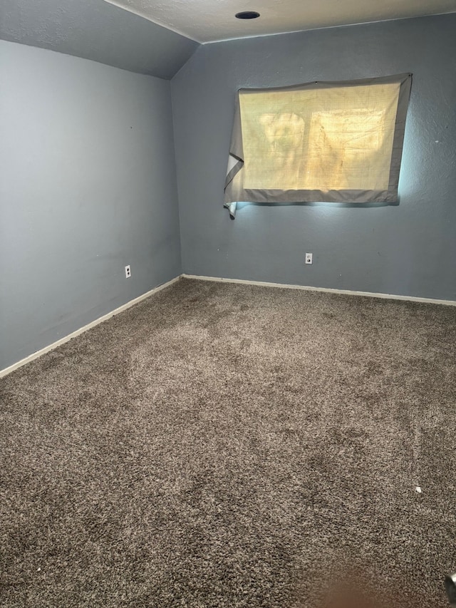 spare room featuring carpet floors