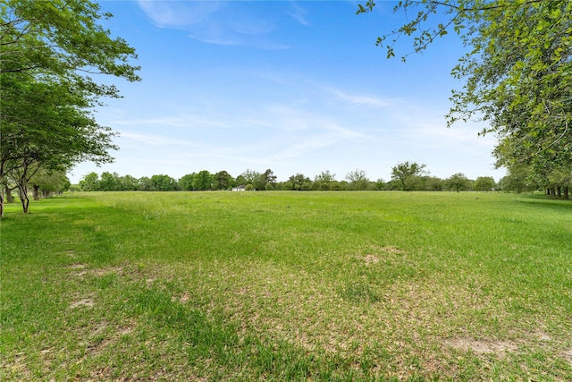 0 Fm 1462nd Rd, Damon, TX 77430 - photo 8