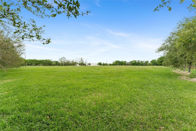 0 Fm 1462nd Rd, Damon, TX 77430 - photo 9