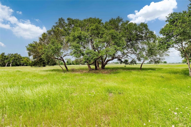 Listing photo 2 for 649 Fm 1291, Round Top TX 78954