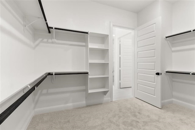 walk in closet featuring light colored carpet