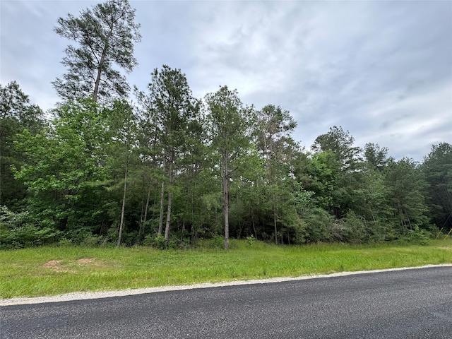 Listing photo 2 for 5-4-1 Texas Grand Rd, Huntsville TX 77340