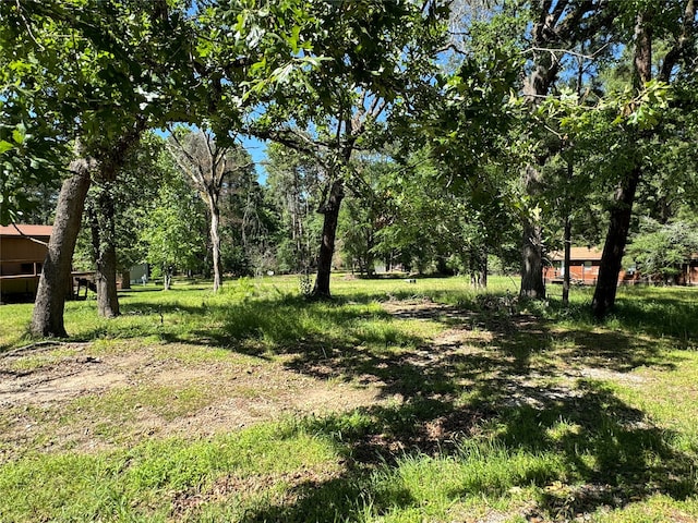 31 Whippoorwill Ln, Trinity TX, 75862 land for sale