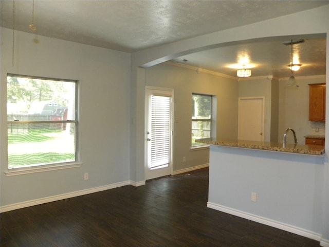 kitchen with light stone counters, dark hardwood / wood-style flooring, a wealth of natural light, and decorative light fixtures