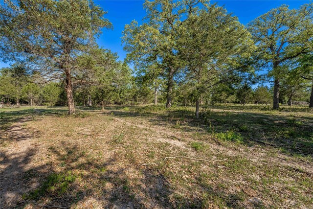 7150 Taplin Ln, Burton, TX 77835