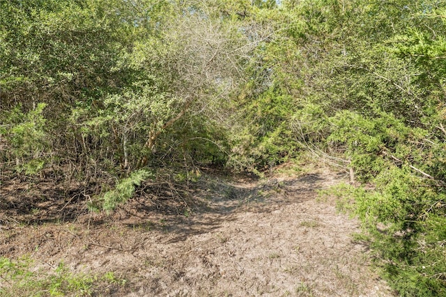 7358 Taplin Ln, Burton, TX 77835