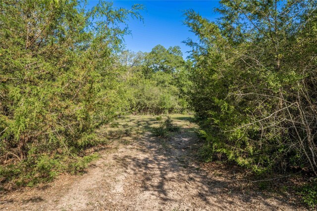 7358 Taplin Ln, Burton, TX 77835