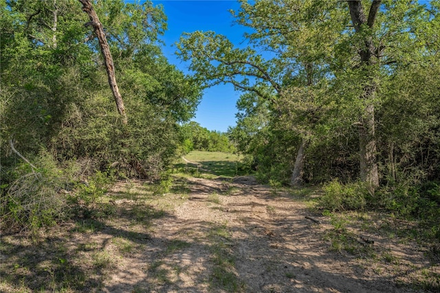 7358 Taplin Ln, Burton, TX 77835