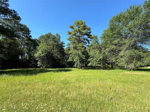 28 Oakridge N, Trinity TX, 75862 land for sale