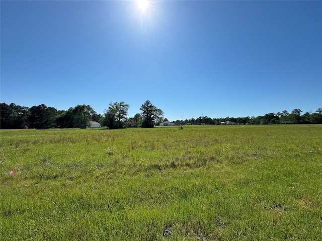 20 Sandy Spgs, Trinity TX, 75862 land for sale