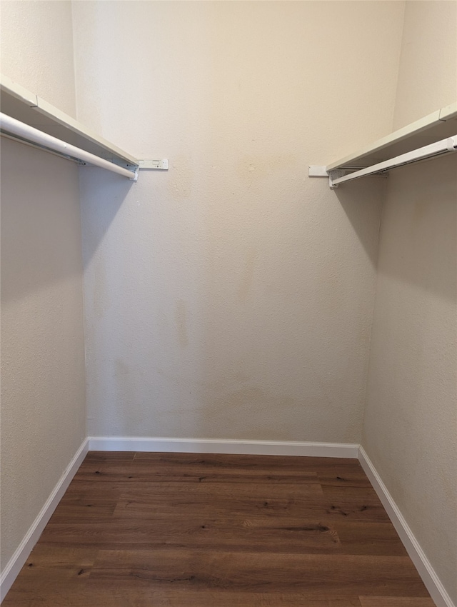 spacious closet featuring dark hardwood / wood-style flooring