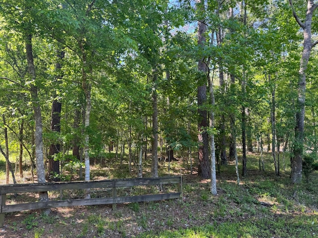 19 S Royale Greens Dr, Coldspring TX, 77331 land for sale