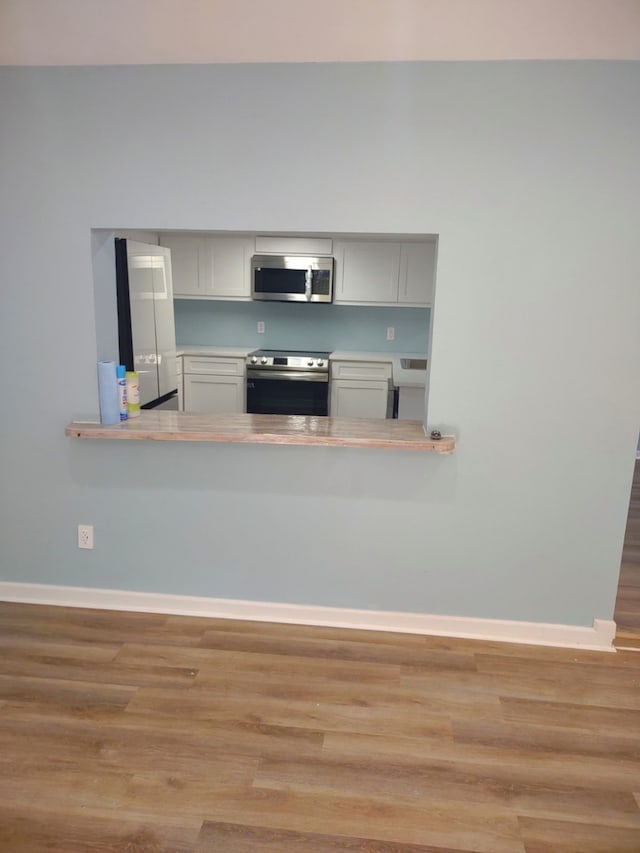 kitchen with wood-type flooring and stainless steel appliances