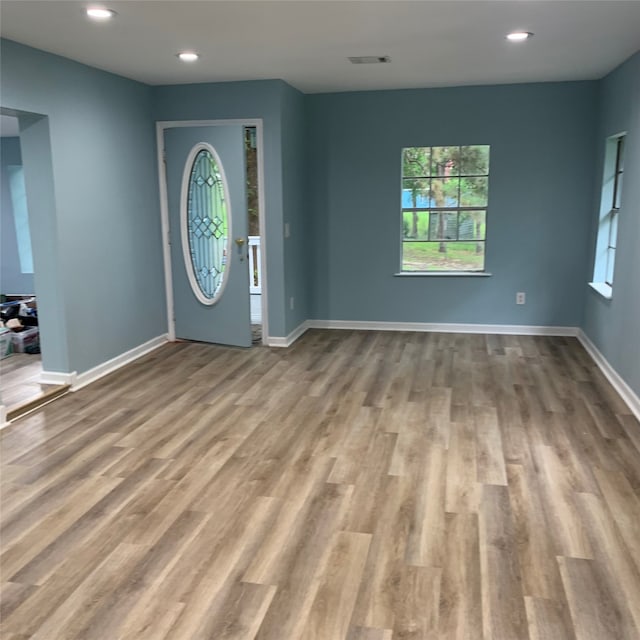 foyer entrance with wood-type flooring