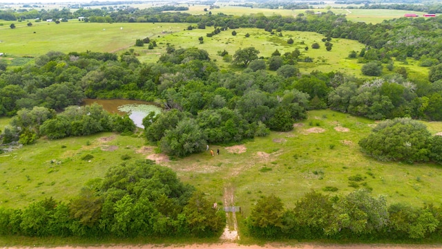 1250 Ladewig Ln, Flatonia TX, 78956 land for sale