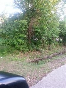 8301 Sandra St, Houston, TX 77016 - photo 2