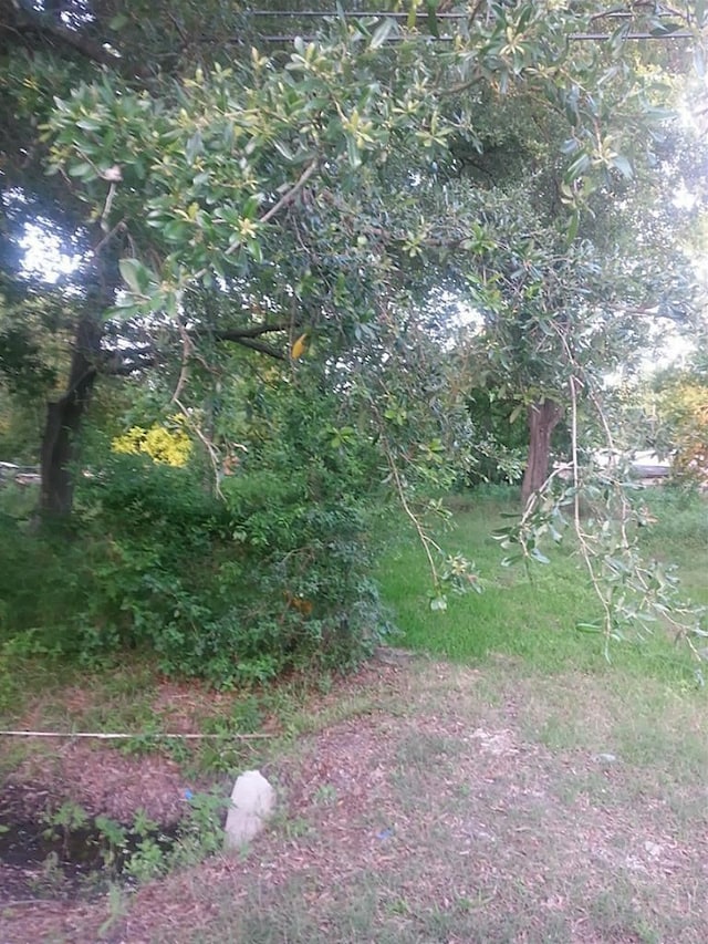0 Sandra St, Houston, TX 77016 - photo 1