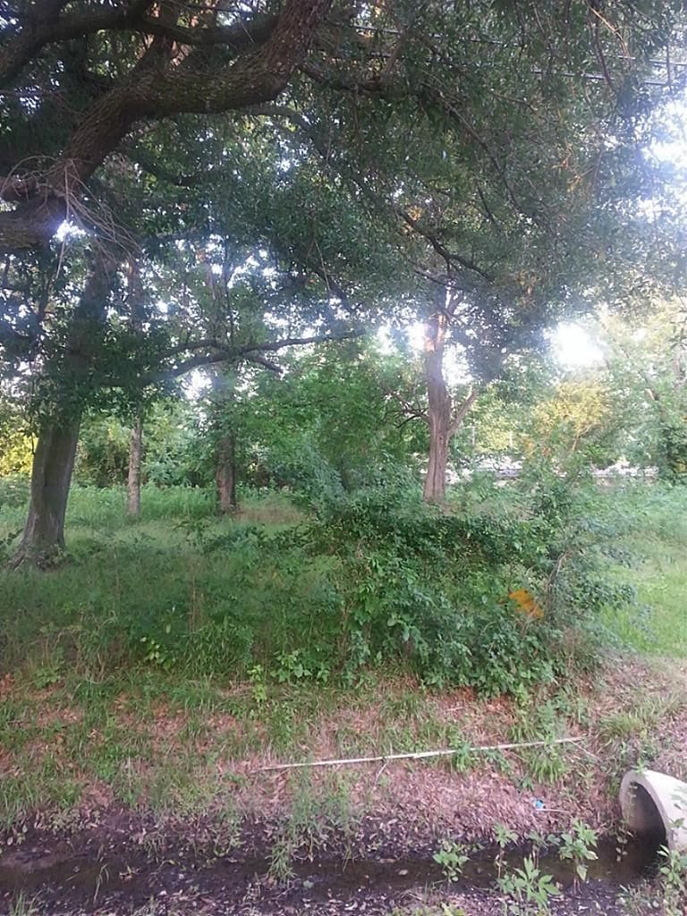 0 Sandra St, Houston, TX 77016 - photo 3
