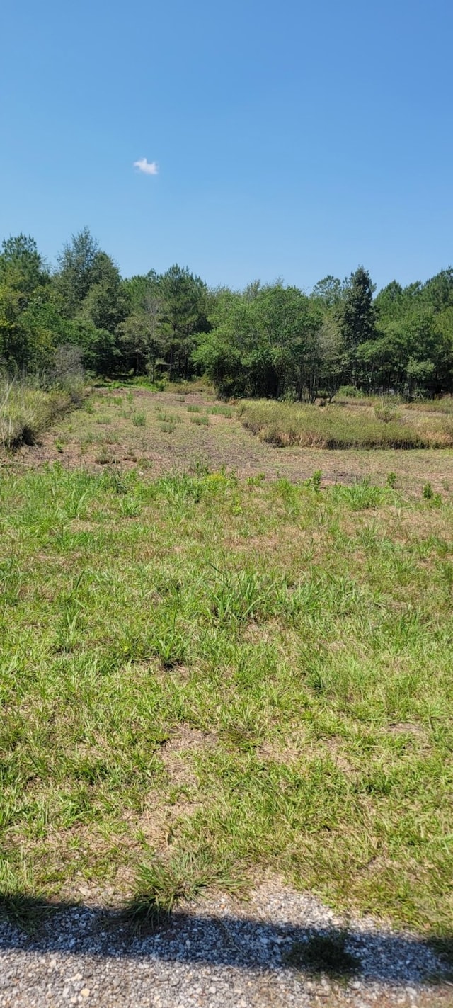 6777 Fm 1003, Kountze TX, 77625 land for sale