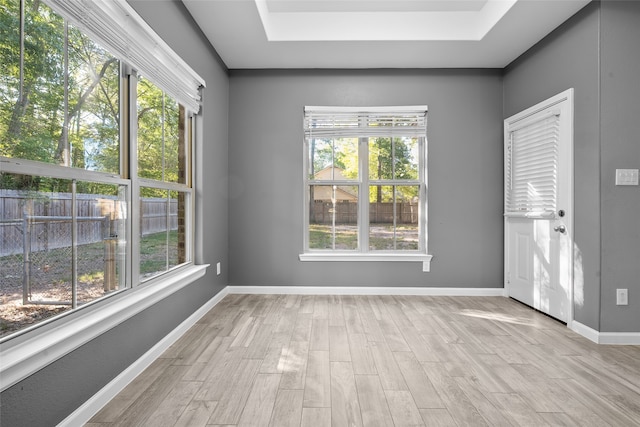 interior space featuring a healthy amount of sunlight, light hardwood / wood-style floors, and a tray ceiling