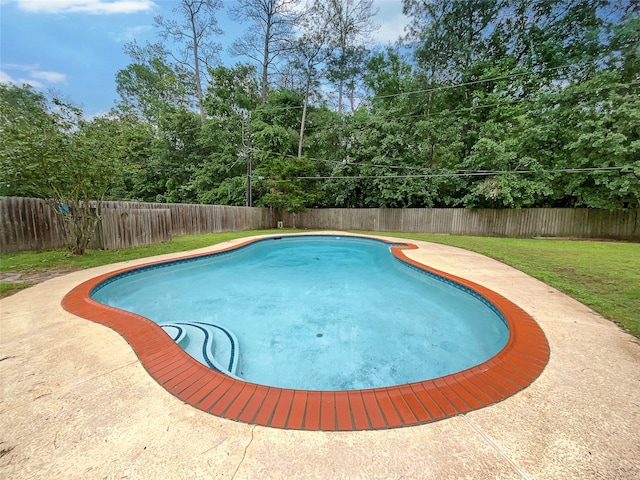 view of swimming pool with a yard