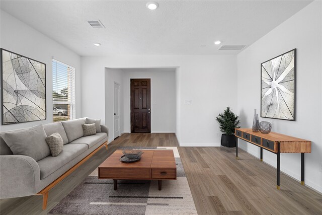 living room featuring hardwood / wood-style flooring