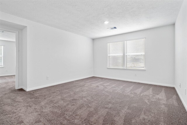 empty room featuring carpet flooring, a healthy amount of sunlight, and a textured ceiling