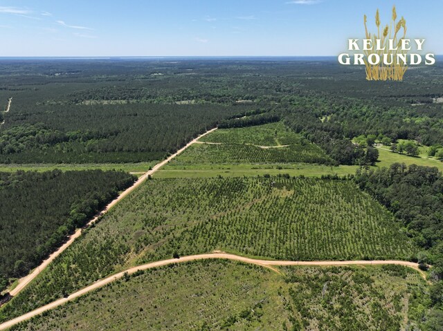 1-7 L Kelley Rd, Livingston, TX 77351 - photo 3
