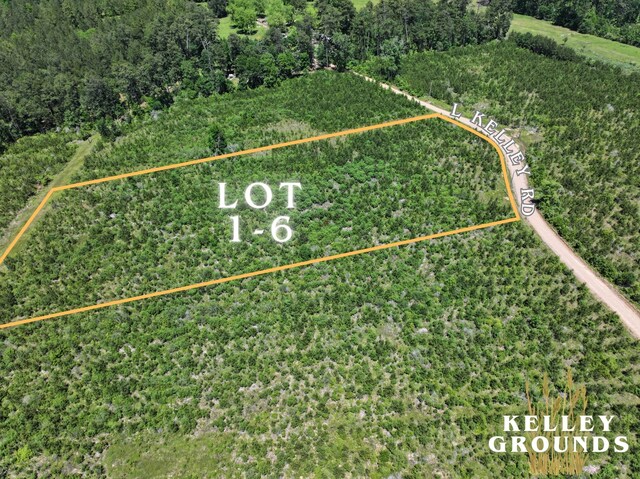 1-7 L Kelley Rd, Livingston, TX 77351 - photo 8
