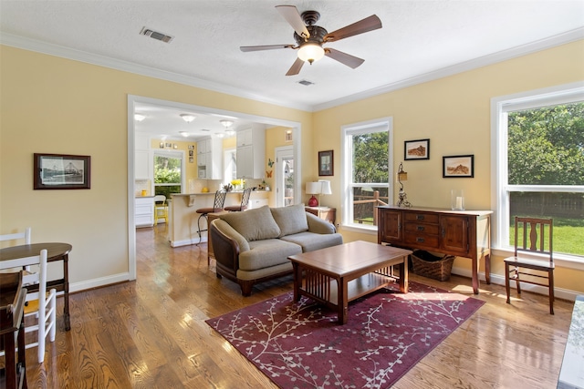 living room featuring wood-type flooring, ceiling fan, and crown molding