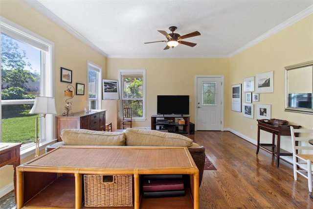 living room featuring ceiling fan, plenty of natural light, dark wood-type flooring, and ornamental molding