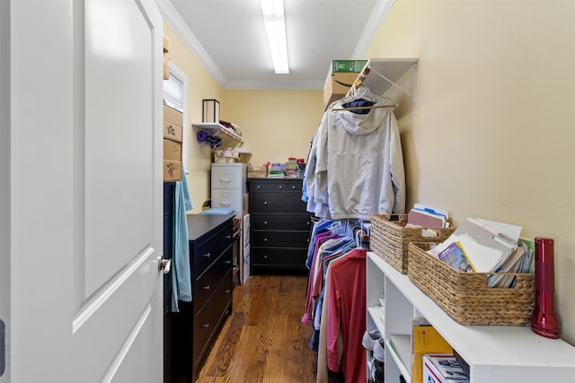 spacious closet with dark hardwood / wood-style flooring